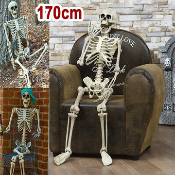 Halloween Movable Skeleton