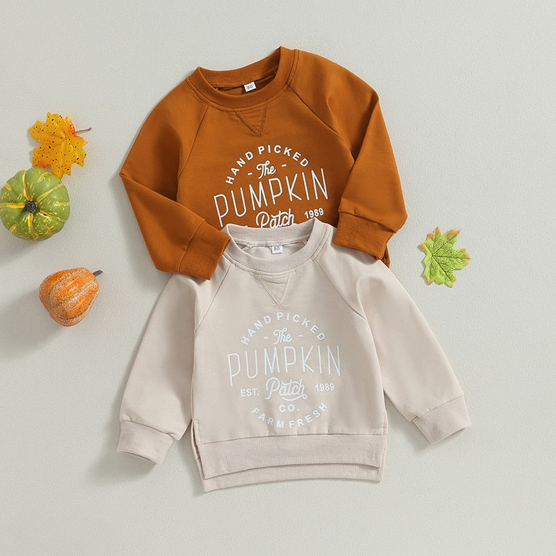 Pumpkin Patch Toddler Sweatshirt